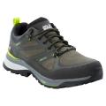 Jack Wolfskin Hiking Shoes Force Striker Texapore Low waterproof lime/dark green Men